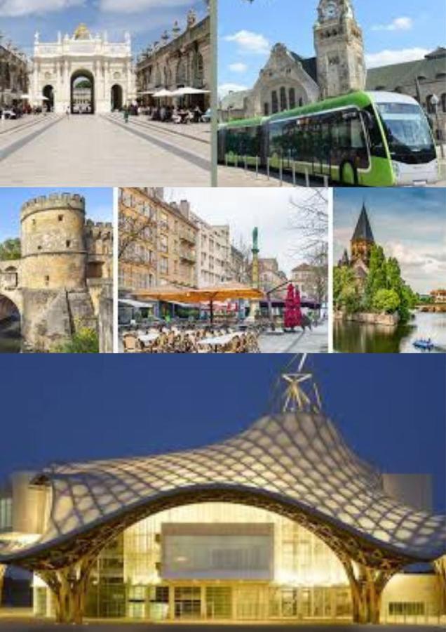 Le Muse Quartier Ville Proche Transport Parking Prive Un-Sejour-A-Part Metz Exterior photo